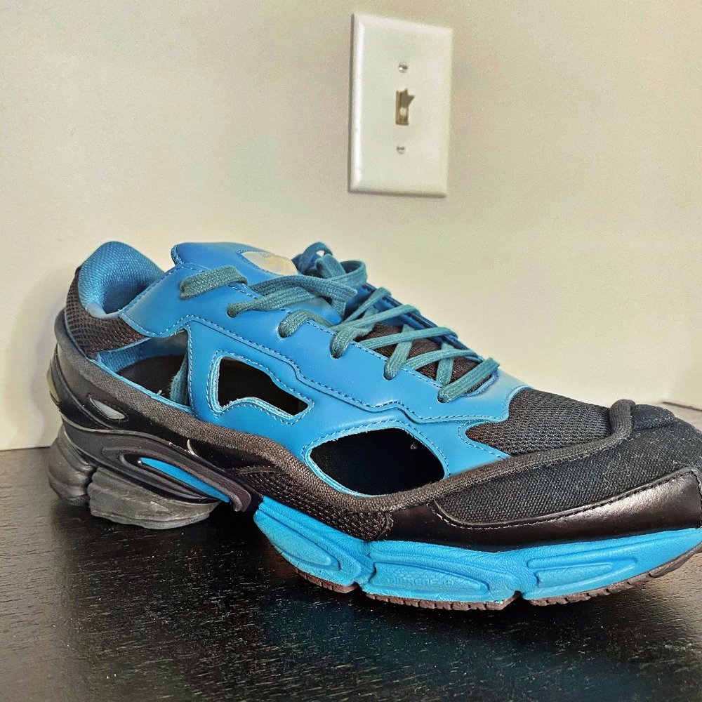 adidas Raf Simons Ozweego Replicant